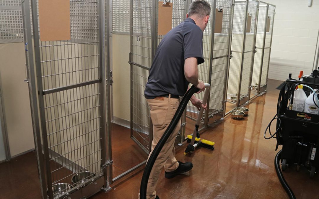 best cleaner for dog kennels